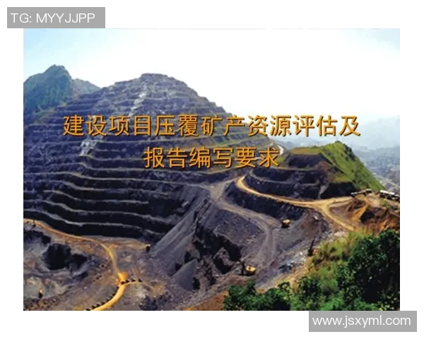 武汉乒乓球队员个人能力分析及表现评估研究报告 武汉乒乓球队员个人能力分析及表现评估研究报告