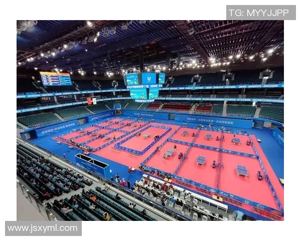 数据分析:成都乒乓球队的比赛经验表现