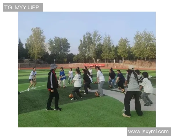 排球巨献:探秘南京排球队的力量